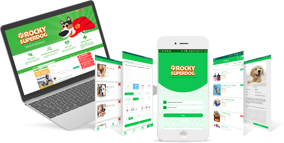 UI/UX Design